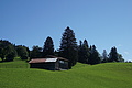 0966-DSC04043 - Bernhard Saalfeld