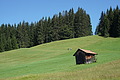 0986-DSC04064 - Bernhard Saalfeld