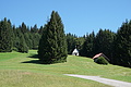 0987-DSC04065 - Bernhard Saalfeld