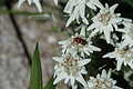 0994-DSC04072 - Bernhard Saalfeld