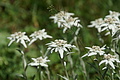 0998-DSC04076 - Bernhard Saalfeld