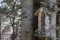 1013-DSC04091 - Bernhard Saalfeld