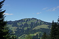 1018-DSC04096 - Bernhard Saalfeld