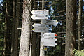 1026-DSC04105 - Bernhard Saalfeld