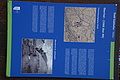 1033-DSC04112 - Bernhard Saalfeld