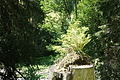 1090-DSC02281 - Bernhard Saalfeld