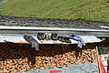 1093-DSC02284 - Bernhard Saalfeld
