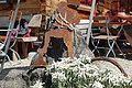 1096-DSC02287 - Bernhard Saalfeld