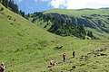 1104-DSC02295 - Bernhard Saalfeld
