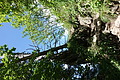 1111-DSC02302 - Bernhard Saalfeld