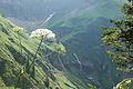1116-DSC02307 - Bernhard Saalfeld