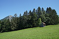1192-DSC04132 - Bernhard Saalfeld