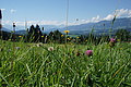 1197-DSC04137 - Bernhard Saalfeld