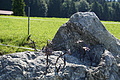 1200-DSC04140 - Bernhard Saalfeld