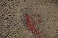 1203-DSC04143 - Bernhard Saalfeld