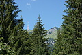 1207-DSC04148 - Bernhard Saalfeld