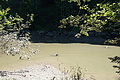 1218-DSC04159 - Bernhard Saalfeld
