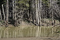 1219-DSC04160 - Bernhard Saalfeld