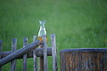 1252-DSC04915 - Bernhard Saalfeld