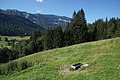 1259-DSC04189 - Bernhard Saalfeld
