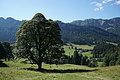 1260-DSC04190 - Bernhard Saalfeld