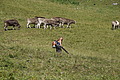1275-DSC04205 - Bernhard Saalfeld