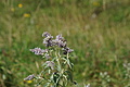 1276-DSC04206 - Bernhard Saalfeld