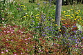 1280-DSC04210 - Bernhard Saalfeld