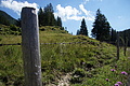 1281-DSC04211 - Bernhard Saalfeld