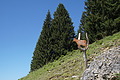 1284-DSC04214 - Bernhard Saalfeld