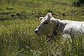 1294-DSC04224 - Bernhard Saalfeld
