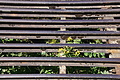1295-DSC04225 - Bernhard Saalfeld