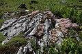 1297-DSC04227 - Bernhard Saalfeld