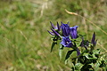 1300-DSC04230 - Bernhard Saalfeld