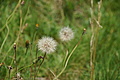 1303-DSC04233 - Bernhard Saalfeld