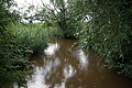 DSC05412 - Bernhard Saalfeld