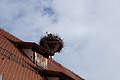 DSC05420 - Bernhard Saalfeld