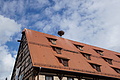 DSC05421 - Bernhard Saalfeld