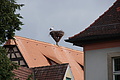 DSC05424 - Bernhard Saalfeld