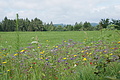DSC05446 - Bernhard Saalfeld
