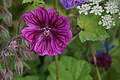 DSC05447 - Bernhard Saalfeld