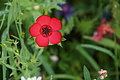 DSC05448 - Bernhard Saalfeld