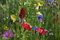 DSC05454 - Bernhard Saalfeld
