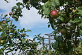 DSC05455 - Bernhard Saalfeld