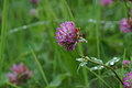 DSC05510 - Bernhard Saalfeld