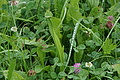 DSC05511 - Bernhard Saalfeld