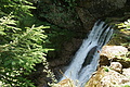 DSC05559 - Bernhard Saalfeld