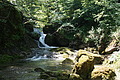 DSC05560 - Bernhard Saalfeld
