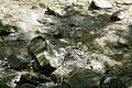 DSC05566 - Bernhard Saalfeld