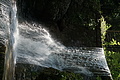 DSC05569 - Bernhard Saalfeld